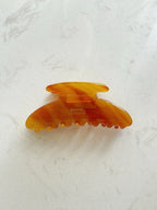 Elegant Clip in Amber