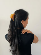 Elegant Clip in Amber